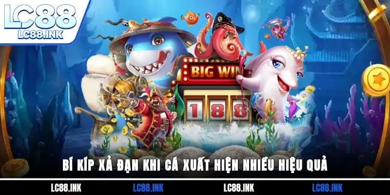 Bí kíp xả đạn khi cá xuất hiện nhiều hiệu quả