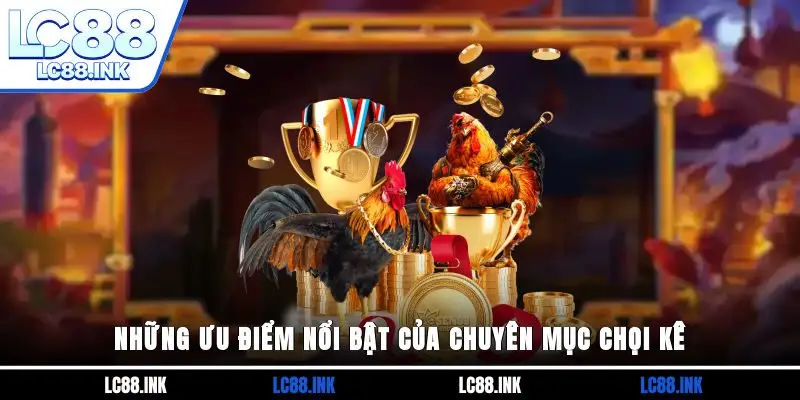 Những ưu điểm nổi bật của chuyên mục chọi kê