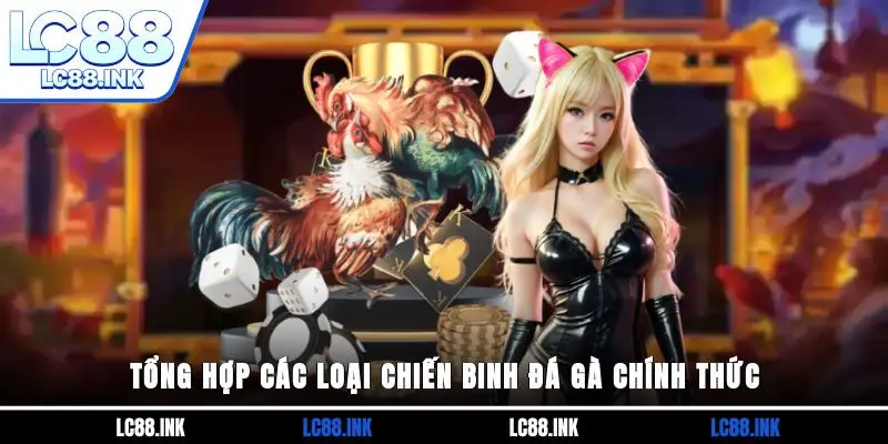 Đá Gà Trực Tiếp Thomo - Dạng Chọi Thu Hút Nhiều Member Nhất 3 Tổng hợp các loại chiến binh đá gà chính thức