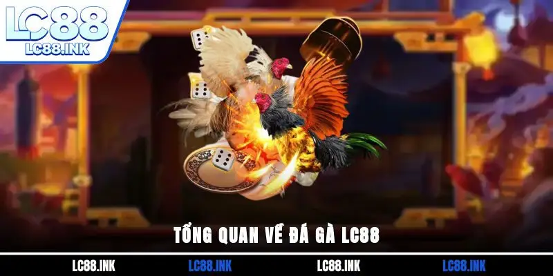 Tổng quan về đá gà LC88